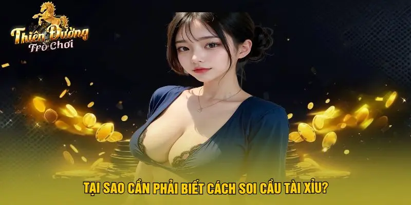 Tại Sao Cần Phải Biết Cách Soi Cầu Tài Xỉu?
